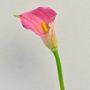 Zantedeschia artificielle TALEA, rose-jaune, 65 cm, 9 x 11 cm
