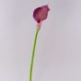 Fleur artificielle Calla TERESA, violet, 70cm, 10x18cm