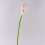 Fleur artificielle Calla TERESA, blanc-rose, 70cm, 10x18cm