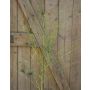 Branche d'herbe fontaine artificielle ZORANA, verte, 115 cm