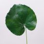 Géranium artificiel à feuilles HEIDEGARD, vert, 38cm, Ø14cm
