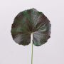 Feuilles de géranium artificielles HEIDEGARD, vert-rouge, 38cm, Ø13cm