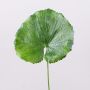 Feuilles de géranium artificielles HEIDEGARD, vert, 38cm, Ø13cm