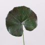 Feuille de géranium artificiel HEIDEGARD, vert-rouge, 38cm, Ø11cm