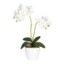 Orchidée Phalaenopsis artificielle FRUXO, piquet, racines, blanc, 50cm