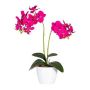 Orchidée Phalaenopsis artificielle FRUXO, piquet, racines, rose fuchsia, 50cm