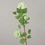 Viorne artificielle DJAMILA, blanc-vert, 75cm, Ø4-8cm