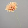 Gerbera artificiel VIRGINIA, crème-rose, 55cm, Ø11cm