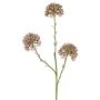 Rameau décoratif d'allium ALIKIO, lilas, 65cm, Ø7cm