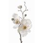 Fleur artificielle Magnolia MALBINE, crème, 50cm, Ø6-10cm