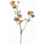 Renoncule artificielle YARIS, vert-fuchsia, 65cm, Ø3-4,5cm
