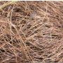 Herbe de sisal marron GIUSEPPA, 20g