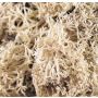 Natur Islandmoos FINNBJÖRN, natur, 50g