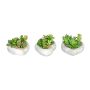 Arrangement de plantes succulentes artificiel SORIPI, 3 pièces, coupe en ciment en forme de cœur, vert-rose, 7cm