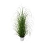 Herbe décorative Pennisetum KIVRA en pot décoratif, vert, 120cm