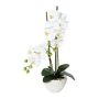 Orchidée Phalaenopsis artificielle DINKA dans une coupe en céramique, racines, blanc, 50cm