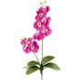 Orchidée Phalaenopsis artificielle MORLEK, piquet, racines, rose fuchsia, 60cm