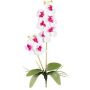 Orchidée Phalaenopsis artificielle MORLEK, piquet, racines, blanc-lilas, 60cm