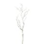 Branche de bouleau artificielle SNEFLO, blanc, 75cm