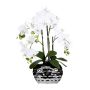 Orchidée Phalaenopsis artificielle SINKA en pot décoratif argenté, blanc, 55cm