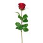 Fleur artificielle Rose NORLAN, rouge, 70cm