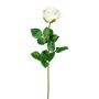 Fleur artificielle Rose NORLAN, crème, 70cm