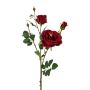 Branche de fleurs artificielles Rose FRALGO, rouge, 60cm, Ø3-10cm