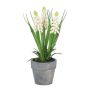Fleur décorative Muscari ZORKLEM en pot décoratif, blanc, 18cm