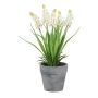 Fleur décorative Muscari ZORKLEM en pot décoratif, blanc, 22cm