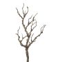 Branche décorative Bouleau TRUNLO, brun, 65cm