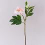 Pivoine synthétique FYRFAR, ouverte, rose clair, 60cm