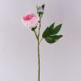 Pivoine synthétique FYRFAR, semi-ouverte, rose, 60cm