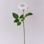 Rose en forme de chou artificielle MARNUK, blanc crème, 60 cm, Ø 9 cm