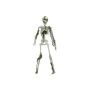 Figurine d'Halloween Petit squelette WENDELIN recouvert de mousse, 40cm