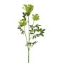 Branche synthétique de carotte sauvage TOLHER, verte, 85cm