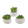 Arrangement de plantes succulentes artificielles ZIFER dans un pot en ciment, 3 pièces, vert, 8-10cm