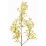 Branche artificielle de gypsophile MURMYN, jaune-vert, 65 cm