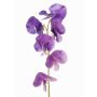 Fleur artificielle de gesse WAHNY, lilas, 45cm, Ø5,5cm