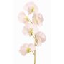 Fleur synthétique Lathyrus WAHNY, blanc-vert, 45cm, Ø5,5cm