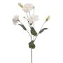 Fleur artificielle Lisianthus RENARA, blanche, 75cm
