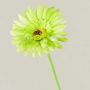 Fleur décorative Gerbera TEUDELINDE, vert-crème, 55cm, Ø8cm