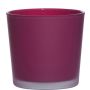 Cache-pot en verre ALENA FROST, magenta mat, 11cm, Ø11,5cm