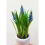 Fleur décorative Muscari NARMADA dans un pot en ciment, bleu, 20cm