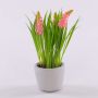 Fleur décorative Muscari NARMADA dans un pot en ciment, rose, 20cm