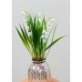 Muguet artificiel NIKISHA dans un vase en verre, blanc, 20cm