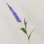 Fleur artificielle Véronique RUNHERDA, bleu-lilas, 75cm