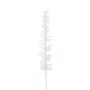 Branche d'eucalyptus en plastique GLAUCO aspect verre, lot de 12, blanche, 80 cm