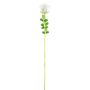 Rose en plastique EVARISTO aspect verre, lot de 12, blanche, 80 cm