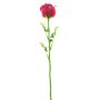Rose en plastique EVARISTO aspect verre, lot de 12, rouge bordeaux, 80 cm