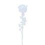 Rose en plastique EVARISTO aspect verre, lot de 12, transparente, 80 cm